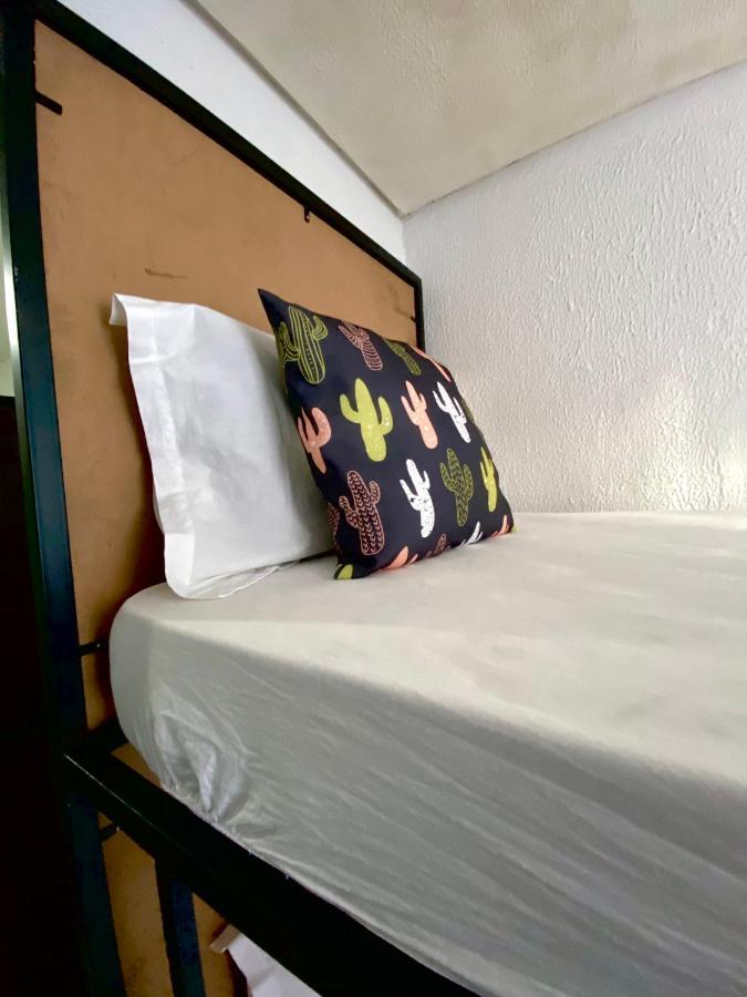 Pousada E Hostel Pernambucana Ресифи Экстерьер фото